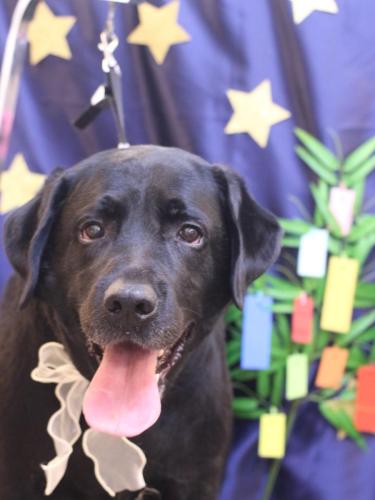 20230704こてつくん